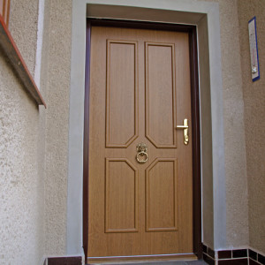 ADLO - Thermo-Sicherheitst�r ADUO, Leistenausf�hrung LB 420, Oberfl�che Geta 173, T�rklopfer L�we