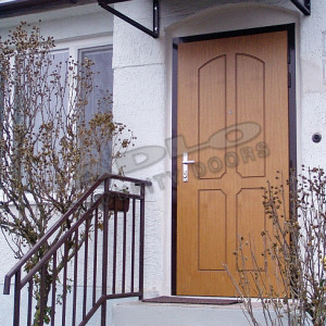 ADLO - Sicherheitstr TEJEN M4, profil Furnier F154, ins Exterieur