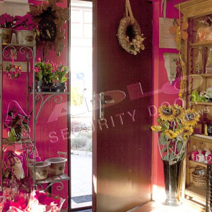 ADLO - Sicherheitstr TESIM, Termo Exterieur Tr und Zarge, Lrmschutz