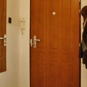 ADLO - Sicherheitstr ZENEX, profiliert F 321, Oberflche massiv, Sicherheitstrkette