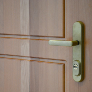 ADLO - Sicherheitstr TEDUO, profiliert F 200, Oberflche Massiv-natur beidseitig