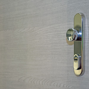 ADLO - Sicherheitstr LISBEO, Troberflche DL 65 SMA, waagerechtes Muster