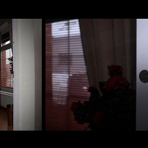 ADLO - Sicherheitstr TEDUO, Profilausfhrung Color F152, frs Exterieur, Lrmschutz