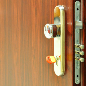 ADLO - Sicherheitstr LISTEO, Troberflche kunststoffbeschichtetes Blech DL 05