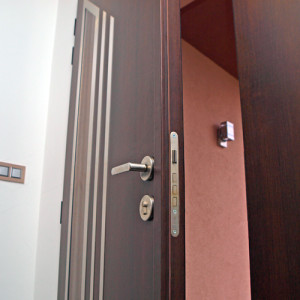 ADLO - Thermo-Au�enraumt�r Kasim dopelfl�gelig, Abmessung der T�r 90 cm x 90 cm, H�he 225 cm