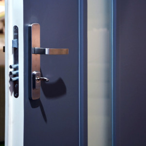 ADLO - Sicherheitst�r JUSTO, verglast p107, zweifarbige Ausf�hrung der T�r