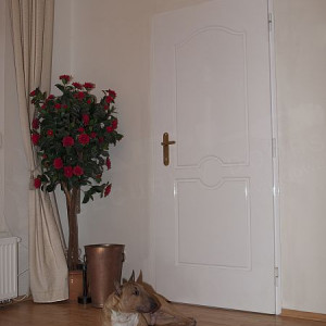 ADLO - Sicherheitstr TEDUO, Profilausfhrung Color F152, frs Exterieur, Lrmschutz