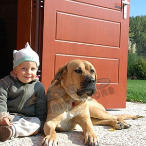 ADLO - Sicherheitstr ZENEX, Oberflche Furnier, ins Exterieur