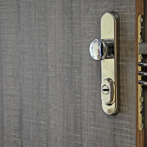 ADLO - Sicherheitstr TEDUO, Trendesign glatt, Troberflche H1151, Sicherheitsbeschlag abgerundet