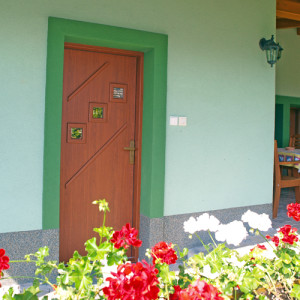 ADLO - Thermo-Au�enraumt�r KASIM, Thermo-Dreifachglas P522, Glas Stopsol - Bronze, Folienbeklebung der T�rzarge