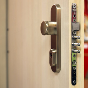 ADLO - Sicherheitstr Teduo, Troberflche Ahorn, Sicherheitsbeschlag Fest Chrome Celomat