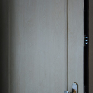 ADLO - Sicherheitst�r ARDEN, Leistenausf�hrung LR100, rustikale Leisten, Wohnungseingangst�r