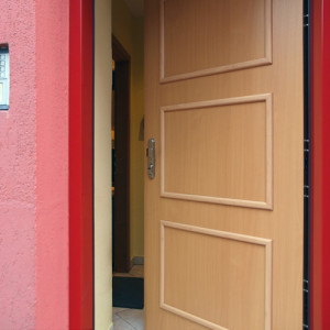 ADLO - Thermo-Au�enraumt�r Aduo, Leistenausf�hrung LOG 200, Oberfl�che der T�rzarge RAL3005