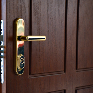 ADLO - Sicherheitstr ZENEX, profiliert F155, Oberflche Naturfurnier lackiert