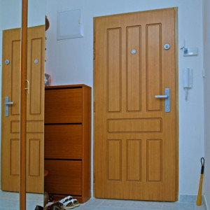 ADLO - Sicherheitstr Aduo, Trendesign profiliert F320, Furnier EICHE, Tr-Sicherheitshebel