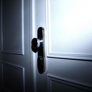 ADLO - Sicherheitst�r TEDUO, Leistenausf�hrung, zweifl�gelige, Brandschutz