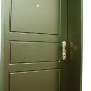 ADLO - Sicherheitstr ADUO, profiliertes Design F250, Oberflche der Tr und der Trzarge Color RAL 6009