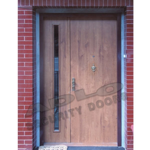 ADLO - Sicherheitstr TEDUO, mit Seitenlicht atyp, mit Trklopfer