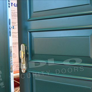 ADLO - Sicherheitst�r ARDEN, atypische Kassettenausf�hrung, Oberfl�che Color, zweifl�gelige