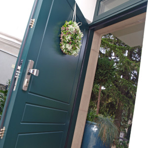 ADLO - Thermo-Auenraumtr ARDEN, Breite 105cm, Profildesign F240, Oberflche RAL 6012 und Oberlichte