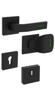 Sicherheitsrosettenbeschlag Rostex R1/H MT Finish, Quadratisch, Schwarz matt, Luminogrn, fr Serie Elite und Termo