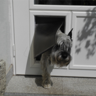 Durchgang fr Hunde und Katzen